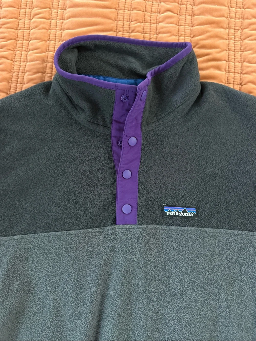Men’s Patagonia micro fleece pullover